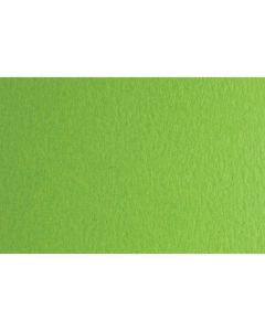 Fabriano Картон Colore, 70 x 100 cm, 140 g-m2, № 230, тревистозелен