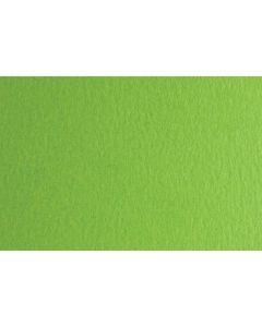 Fabriano Картон Colore, 50 x 70 cm, 140 g-m2, № 230, тревистозелен