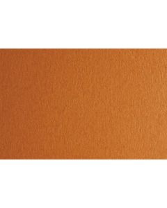 Fabriano Картон Colore, 70 x 100 cm, 140 g-m2, № 223, светлокафяв