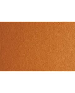 Fabriano Картон Colore, 50 x 70 cm, 140 g-m2, № 223, светлокафяв