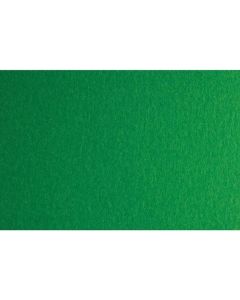 Fabriano Картон Colore, 70 x 100 cm, 140 g-m2, № 231, зелен