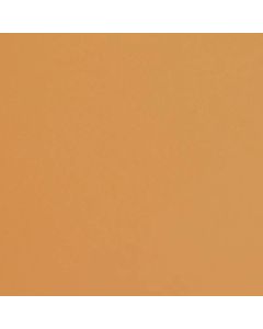 Fabriano Картон Colore, 70 x 100 cm, 200 g-m2, № 223, светлокафяв