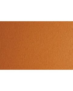 Fabriano Картон Colore, 50 x 70 cm, 200 g-m2, № 223, светлокафяв