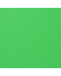 Fabriano Картон Colore, 70 x 100 cm, 200 g-m2, № 230, тревистозелен