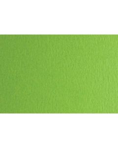 Fabriano Картон Colore, 50 x 70 cm, 200 g-m2, № 230, тревистозелен