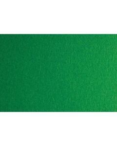 Fabriano Картон Colore, 70 x 100 cm, 200 g-m2, № 231, зелен