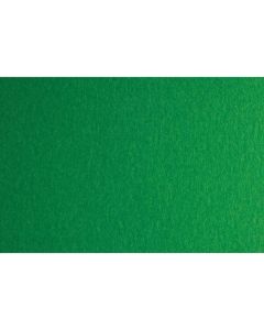 Fabriano Картон Colore, 50 x 70 cm, 200 g-m2, № 231, зелен