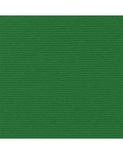 Fabriano Картон Elle Erre, 70 x 100 cm, 220 g-m2, № 111, зелен