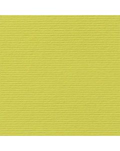 Fabriano Картон Elle Erre, 70 x 100 cm, 220 g-m2, № 125, кедър