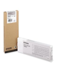 EPSON 5LB T6067 ink cartridge light black standard capacity 220ml 1-pack