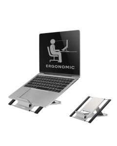 Neomounts Desk Stand (ergonomic, can be positioned in 6 steps)
