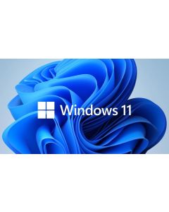 Microsoft Windows 11 Pro GGK 64Bit Eng Intl 1pk DSP ORT OEI DVD