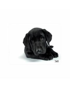 TNB Пад за мишка Illustrated Dog