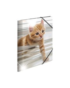 Herma Папка Animals, картонена, с ластик, A4, PP, котки