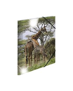 Herma Папка Animals, картонена, с ластик, A4, PP, с африкански житовни