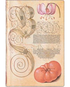 Paperblanks Тефтер Lily&Tomato, Mini, мека корица, 104 листа