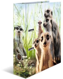 Herma Класьор Animals, картонен, 7 cm, на сурикати