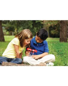 Learning Resources Буркан за наблюдение на насекоми, калинка