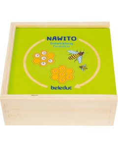 Beleduc Пъзел Жизнен цикъл на развитие, дървен