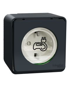 Контакт за зареждане на електромобили 2P 3,7kW IP55 IK10 за открит монтаж - SCHNEIDER ELECTRIC Mureva Styl EV MUR36012
