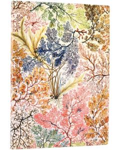 Paperblanks Тефтер Anemone, Midi, широки редове, мека корица, 88 листа