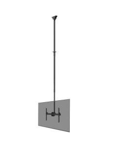 Neomounts Flat Screen Ceiling Mount (Height: 250-300 cm)