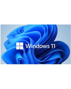 Windows 11 Pro 64 Bit, English, OEM, DVD