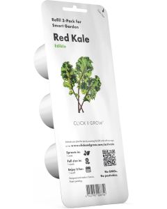 Семена Click and Grow Червен кейл, 3 броя