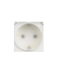 Шуко Bticino 2P+E с капаче Classia Legrand, бял