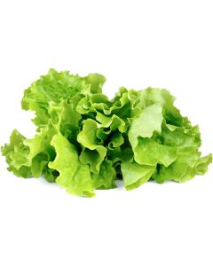 Семена Click and Grow Зелена маруля, 9 броя
