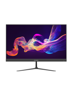 Монитор HikVision DS-D5024F2-BV2S 23.8" FHD 100Hz VA